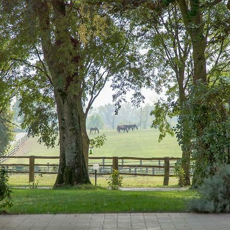 Tenuta Mariano Noceto Exterior photo